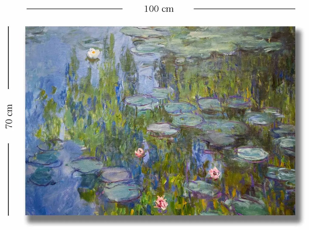 70100MONET016