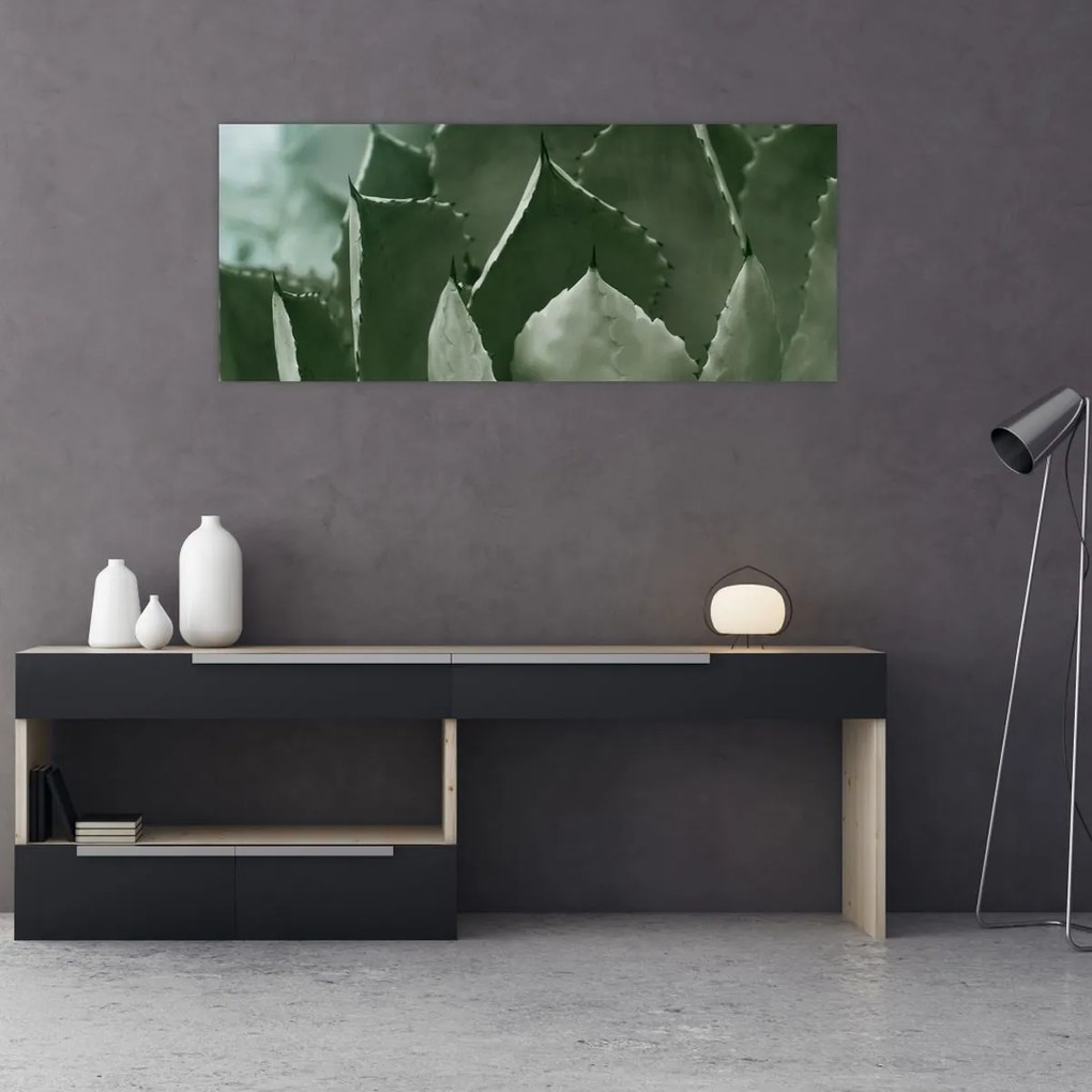 Obraz - Zelená agáve (120x50 cm)