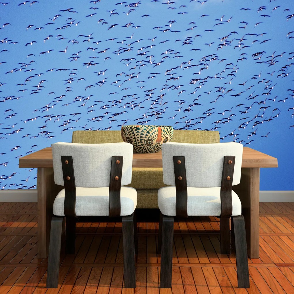 Sablio Tapeta Kŕdeľ vtákov - 125x75 cm