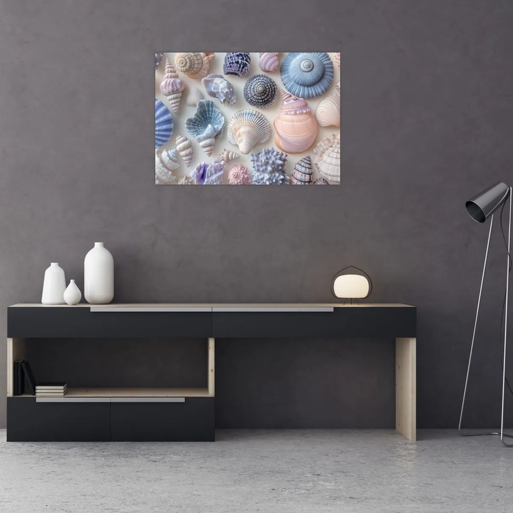 Obraz - Zbierka mušlí (70x50 cm)