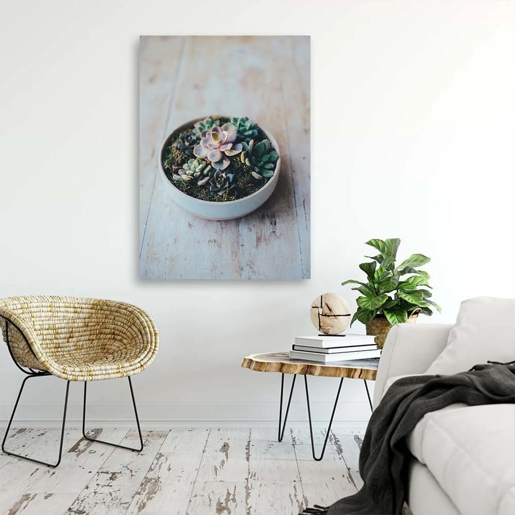 Gario Obraz na plátne Rastliny v kvetináči Rozmery: 40 x 60 cm