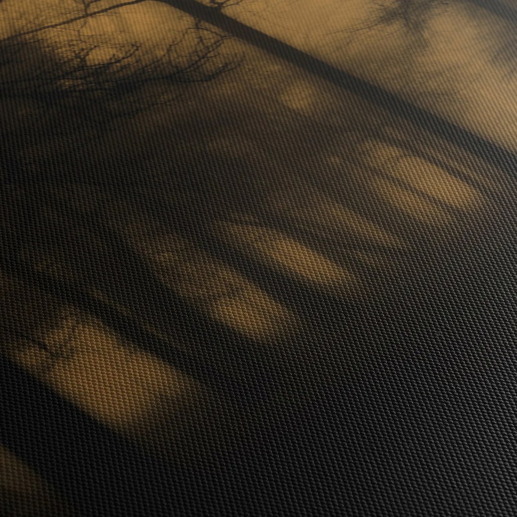 Obraz - Temný les (150x105 cm)