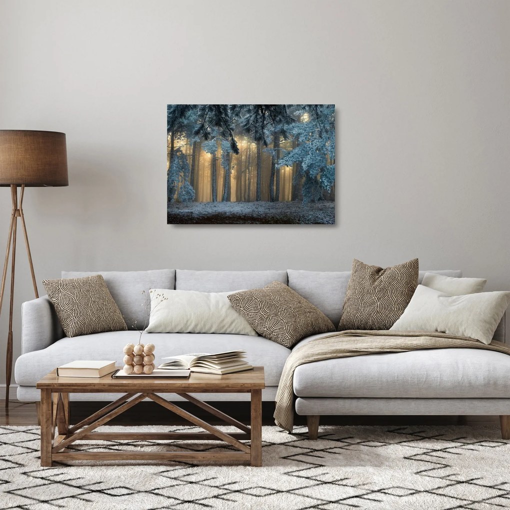 Sklenený obraz zasneženého lesa (70x50 cm)