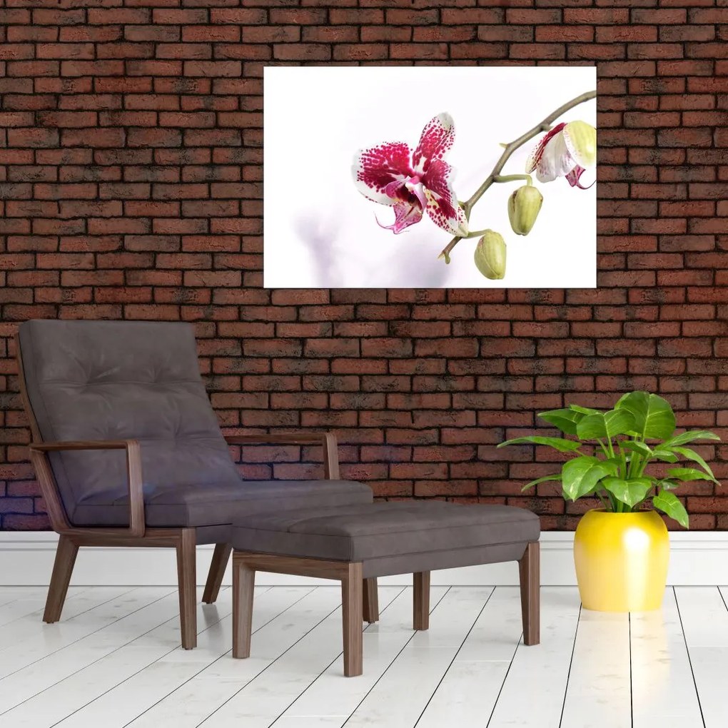 Obraz kvetu orchidey (90x60 cm)