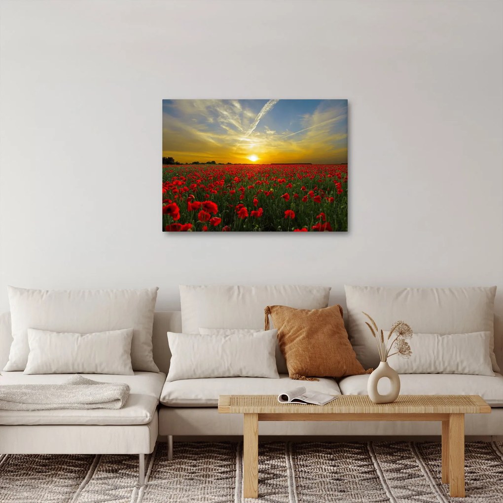 braz poľa vlčích makov (70x50 cm)