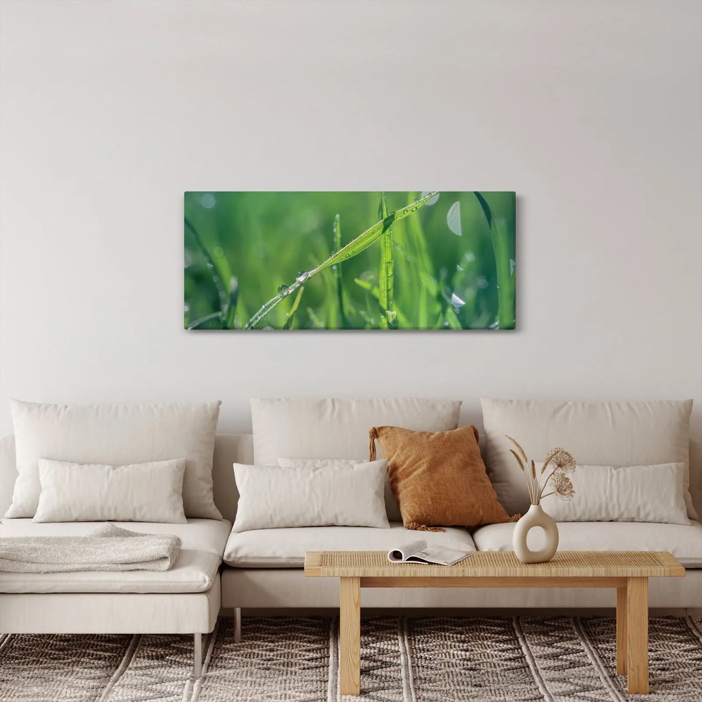 Obraz kvapiek rosy (120x50 cm)