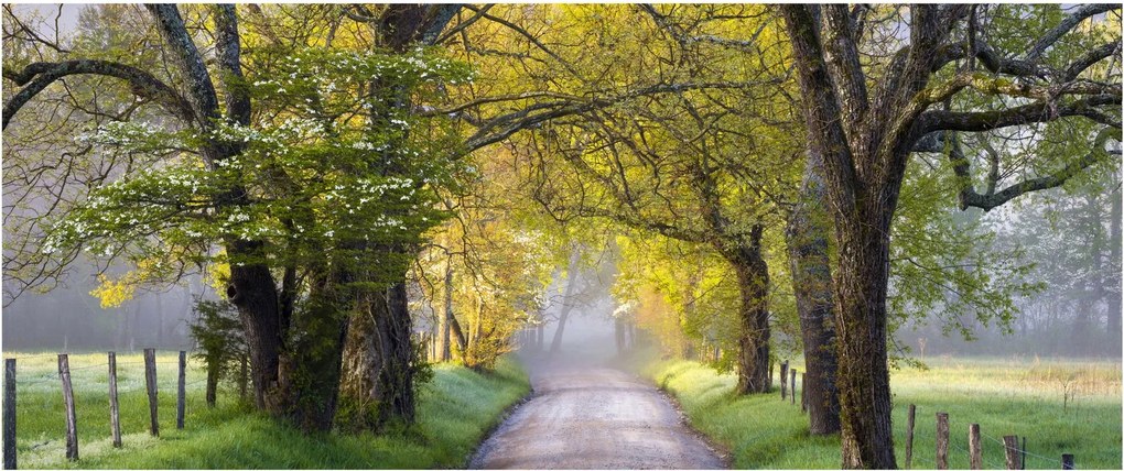 Obraz - Smoky Mountains, Gatlinburg, USA (120x50 cm)