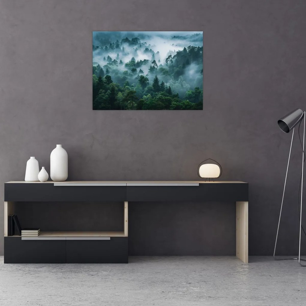 Obraz - Les v hmle (70x50 cm)