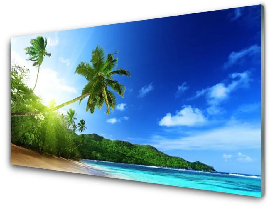 Skleneny obraz Pláž more palma krajina 100x50 cm