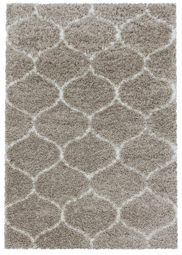 Ayyildiz koberce Kusový koberec Salsa Shaggy 3201 beige - 60x110 cm