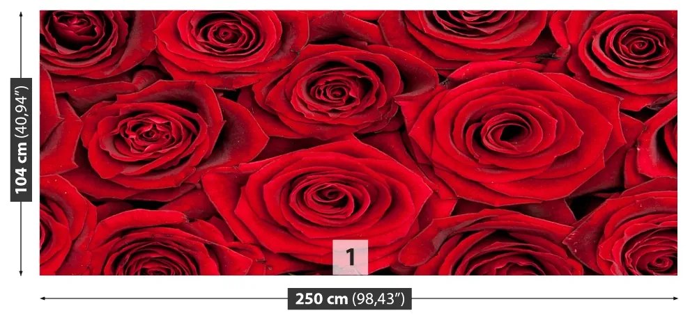 Fototapeta Vliesová Červené ruže 152x104 cm