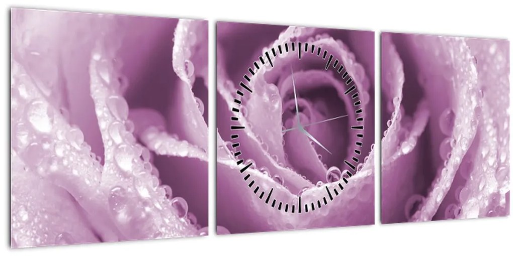 Obraz detailu kvetu ruže (s hodinami) (90x30 cm)