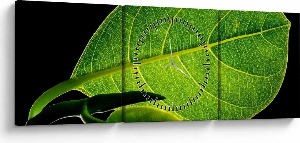 Obraz - zelený list (s hodinami) (90x30 cm)
