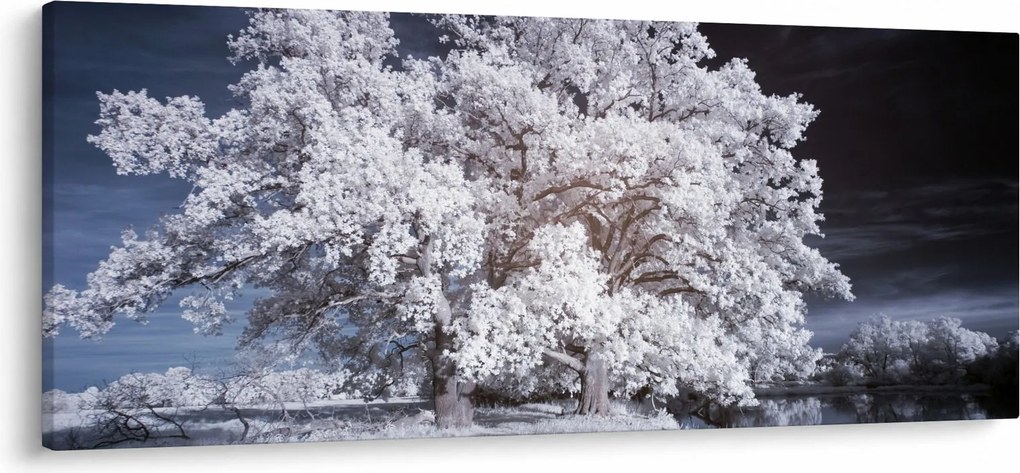 Obraz - Snehobiely strom (120x50 cm)