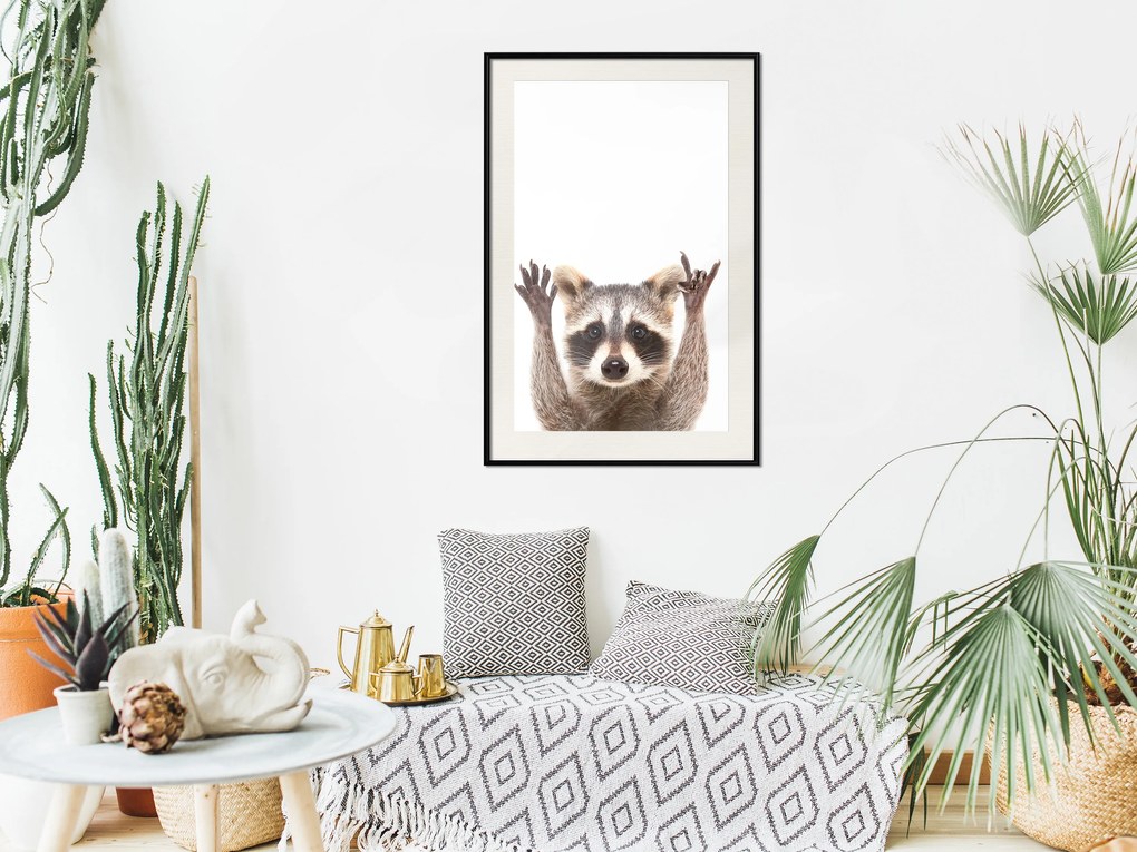 Artgeist Plagát - Raccoon [Poster] Veľkosť: 20x30, Verzia: Čierny rám s passe-partout