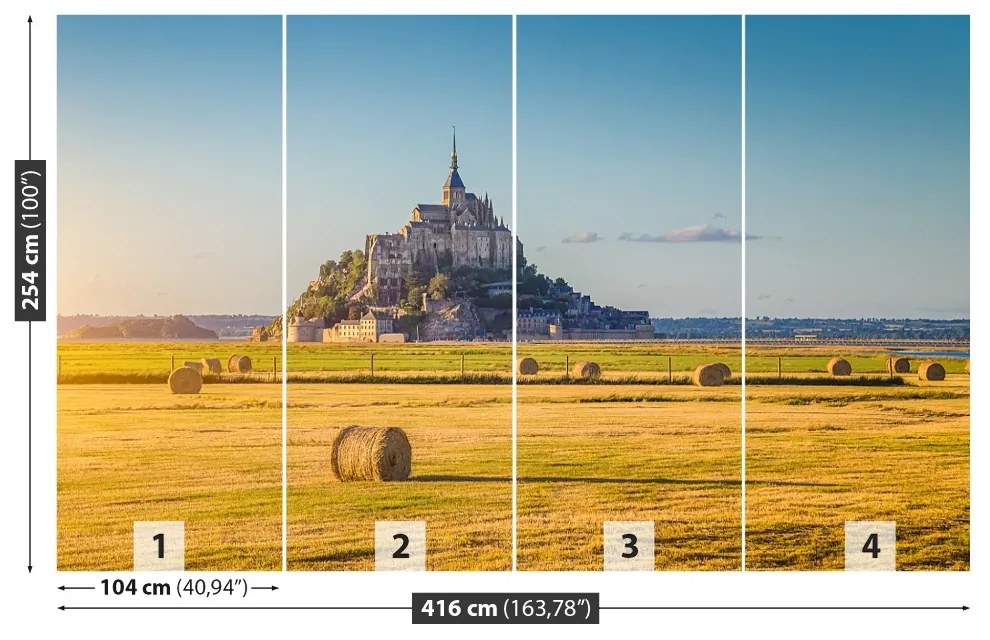 Fototapeta Vliesová Le mont saintmichel 250x104 cm