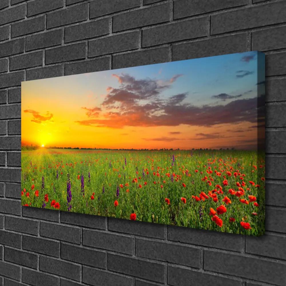 Obraz Canvas Slnko lúka kvety príroda 125x50 cm