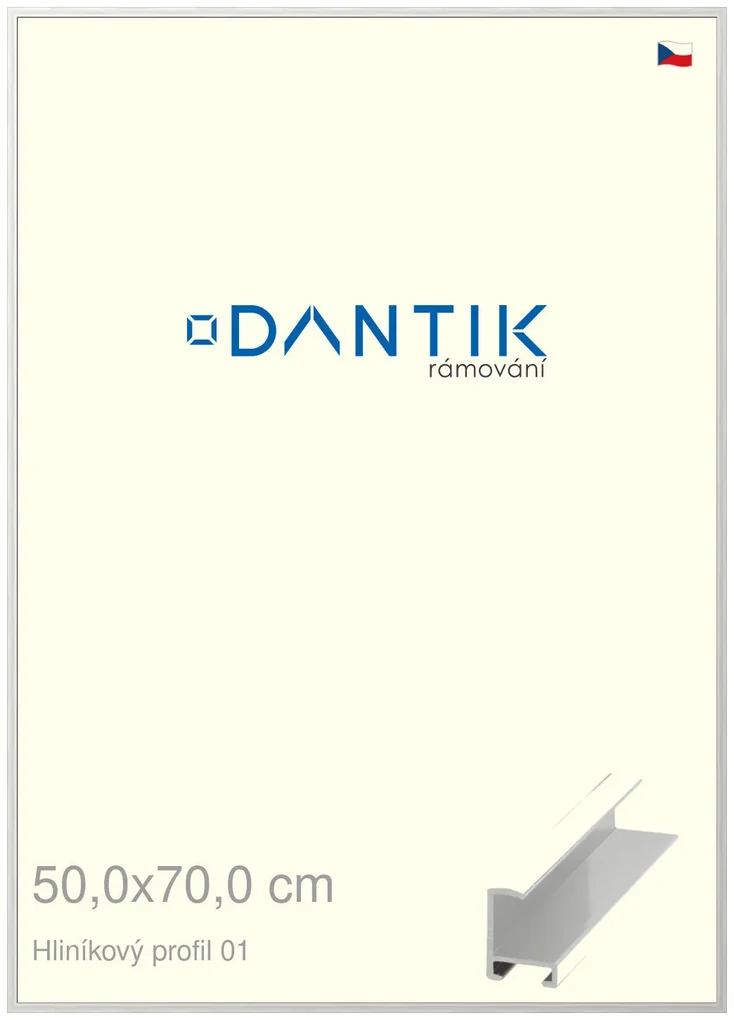 DANTIK rám na obraz 50x70 | ALU Stříbrná lesklá (Plexi Čiré)