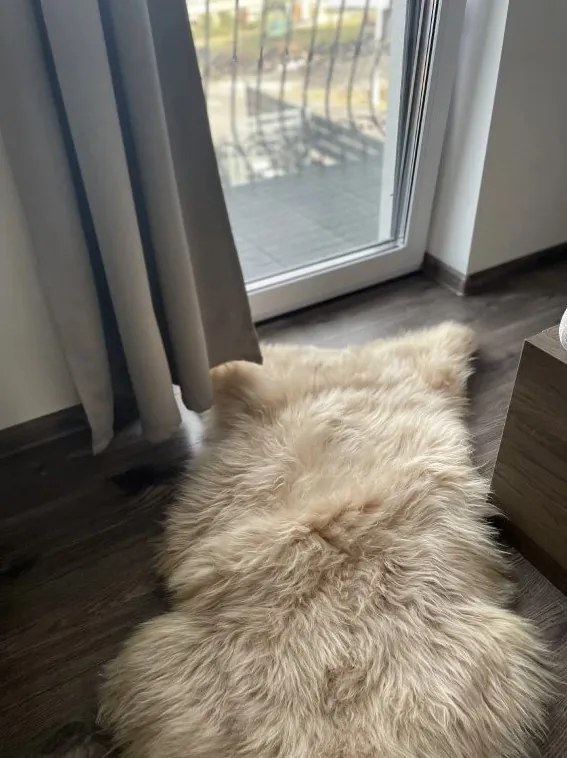 Ovčia kožušina béžová Kožušina: XXL 130x70 cm