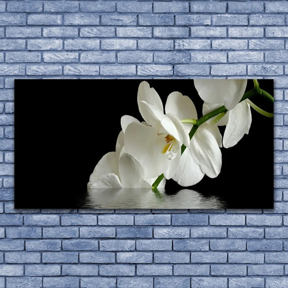 Obraz plexi Orchidea vo vode kvety 120x60 cm