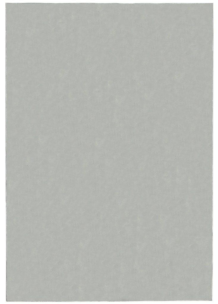 Flair Rugs, Kusový koberec Softie Stone, 200x290, šedá, obývacia izba