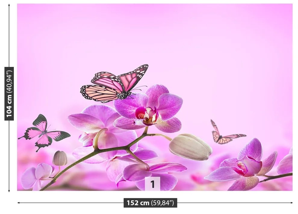 Fototapeta Vliesová Orchid motýľ 104x70 cm