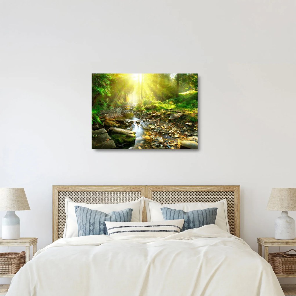 Sklenený obraz rieky v zelenom lese (70x50 cm)