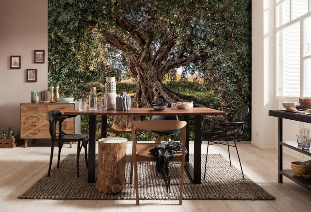 Komar Fototapeta - Olive Tree