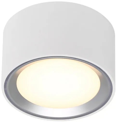 Nordlux - LED Stmievateľné stropné svietidlo FALLON LED/5,5W/230V