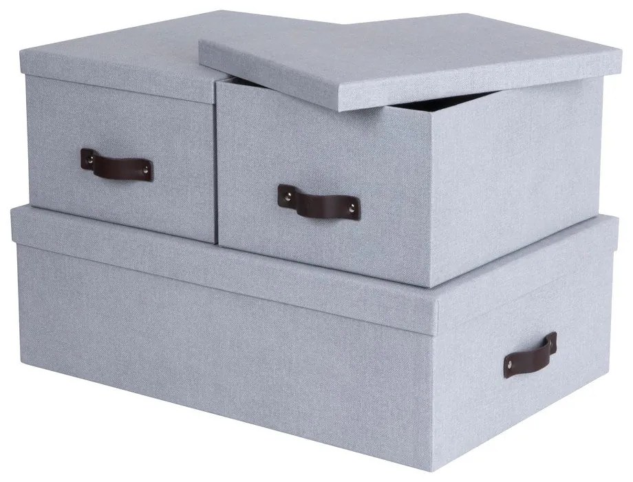 Svetlosivé kartónové úložné boxy s vekom v súprave 3 ks 31x47x15 cm Inge – Bigso Box of Sweden