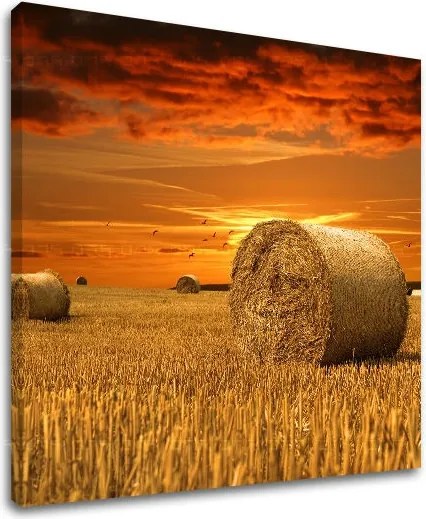 Obraz na stenu KRAJINA