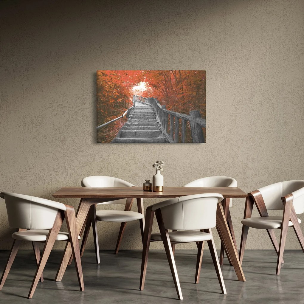Obraz - Schody v prírode, oranžová (90x60 cm)