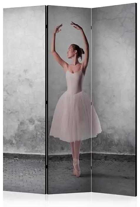 Paraván - Ballerina in Degas paintings style [Room Dividers] Veľkosť: 135x172, Verzia: Akustický