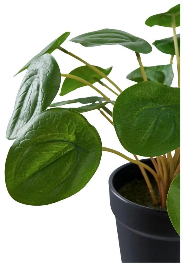 Umelá rastlina (výška 28 cm) Pelia – House Nordic