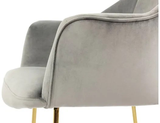 Čalúnené kreslo Anima, Dostupné poťahy: Magic Velvet 2206