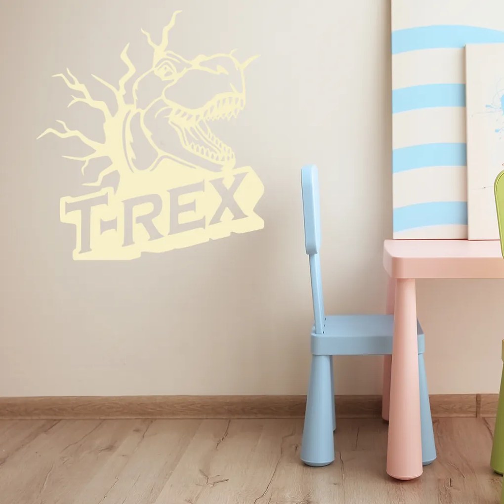 Veselá Stena Samolepka na stenu na stenu Dinosaurus T-REX Farba: čierna