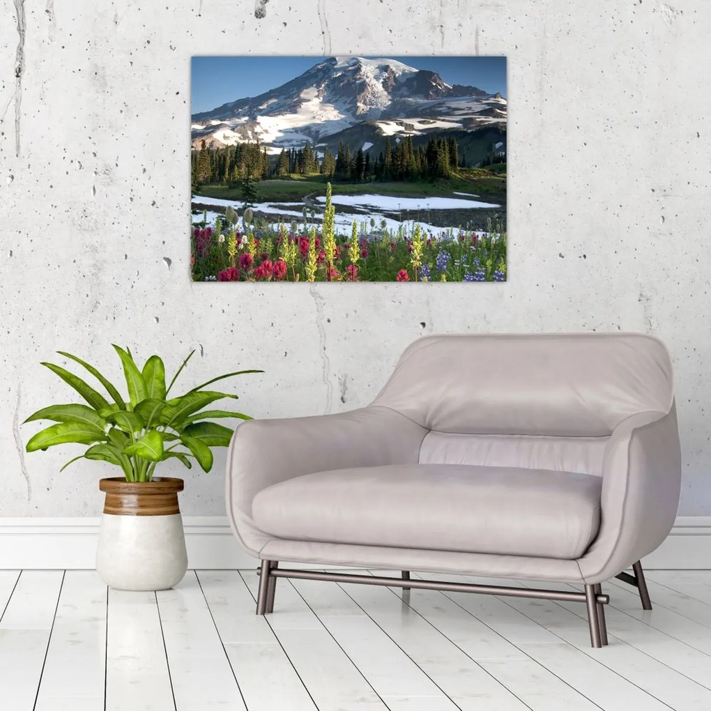 Obraz - Mount Rainier (70x50 cm)