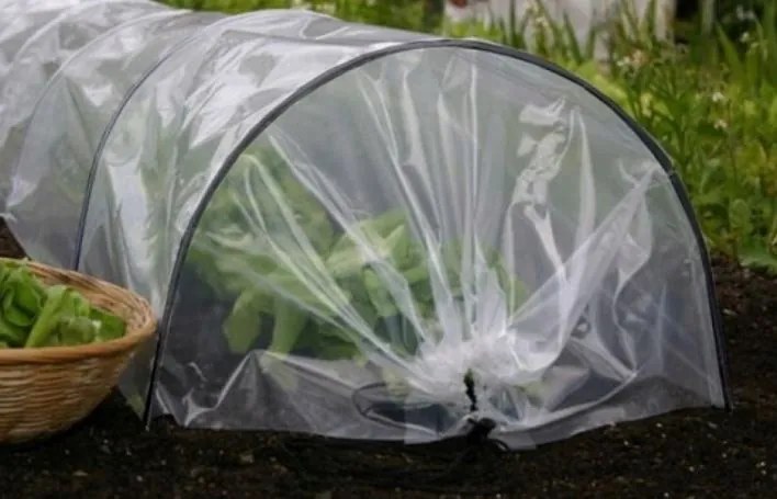 Bestent Foliovník tunel 0,5x6m Garden