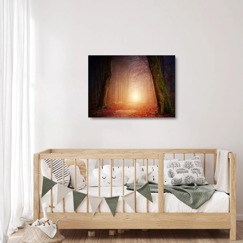 Sklenený obraz jesenného lesa v hmle (70x50 cm)