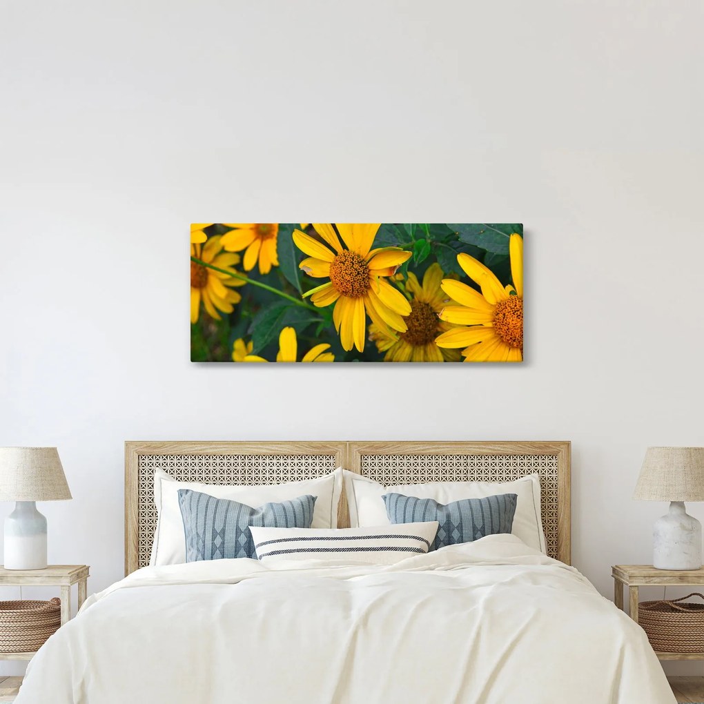 Obraz žltých kvetov (120x50 cm)