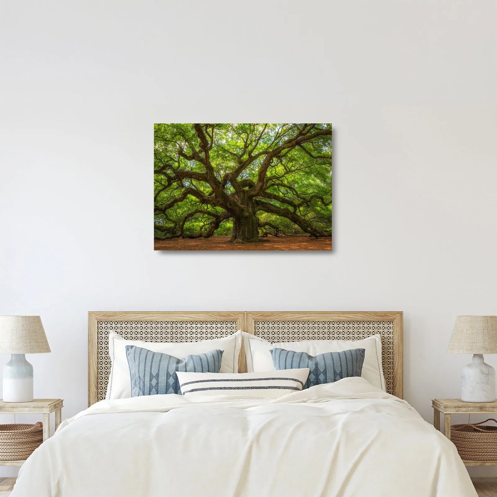 Sklenený obraz - Zelený strom (70x50 cm)