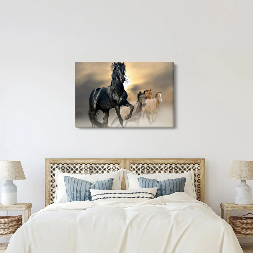 Obraz - Kone (90x60 cm)