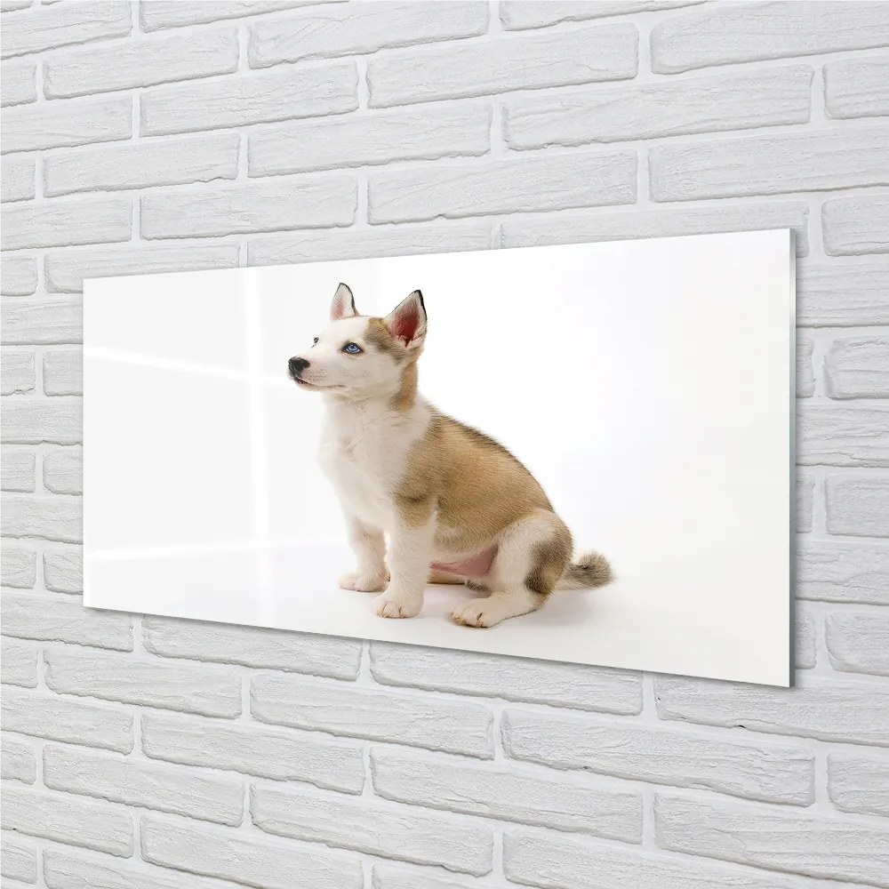 Nástenný panel  Sediaci malého psa 125x50 cm