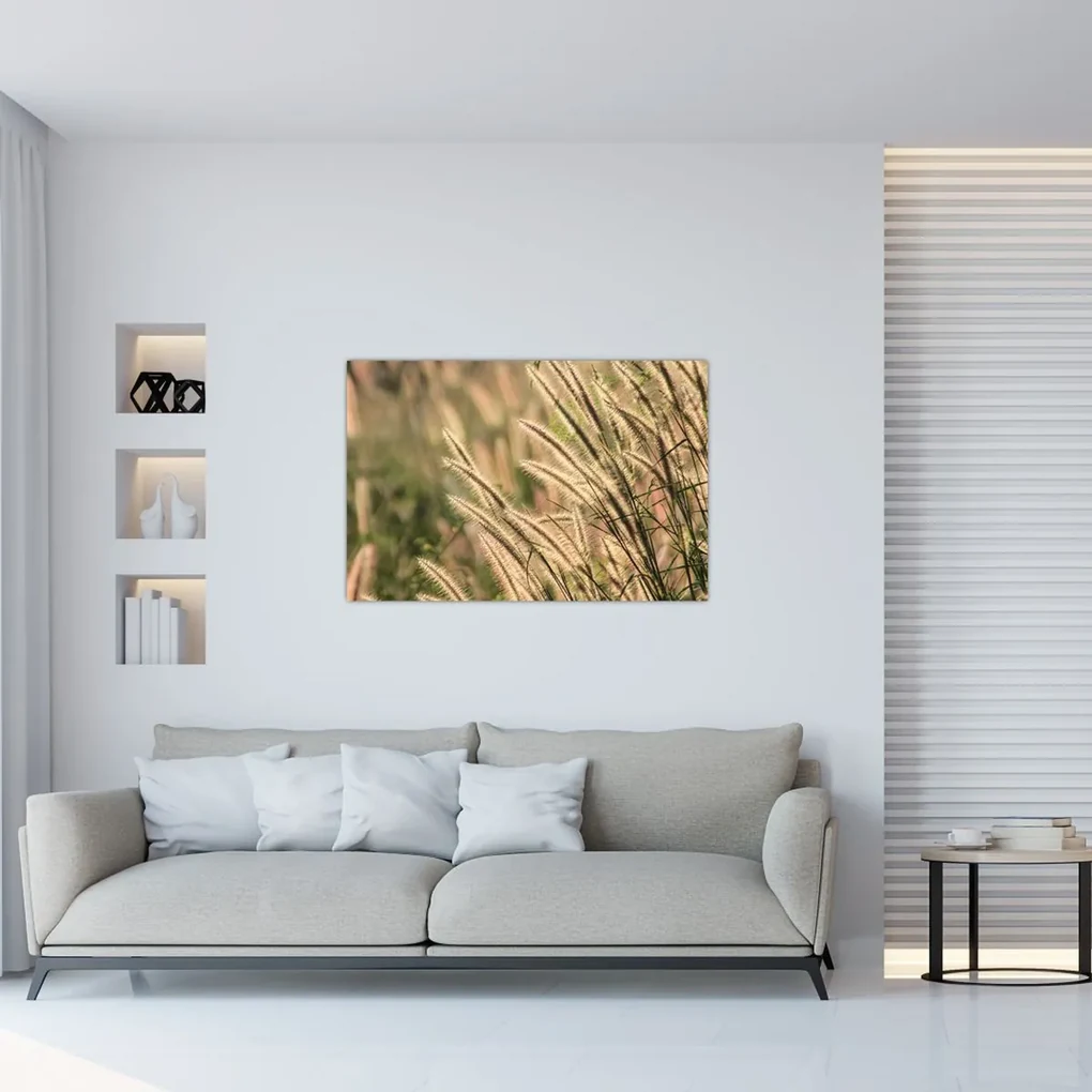 Obraz - Obilie (90x60 cm)