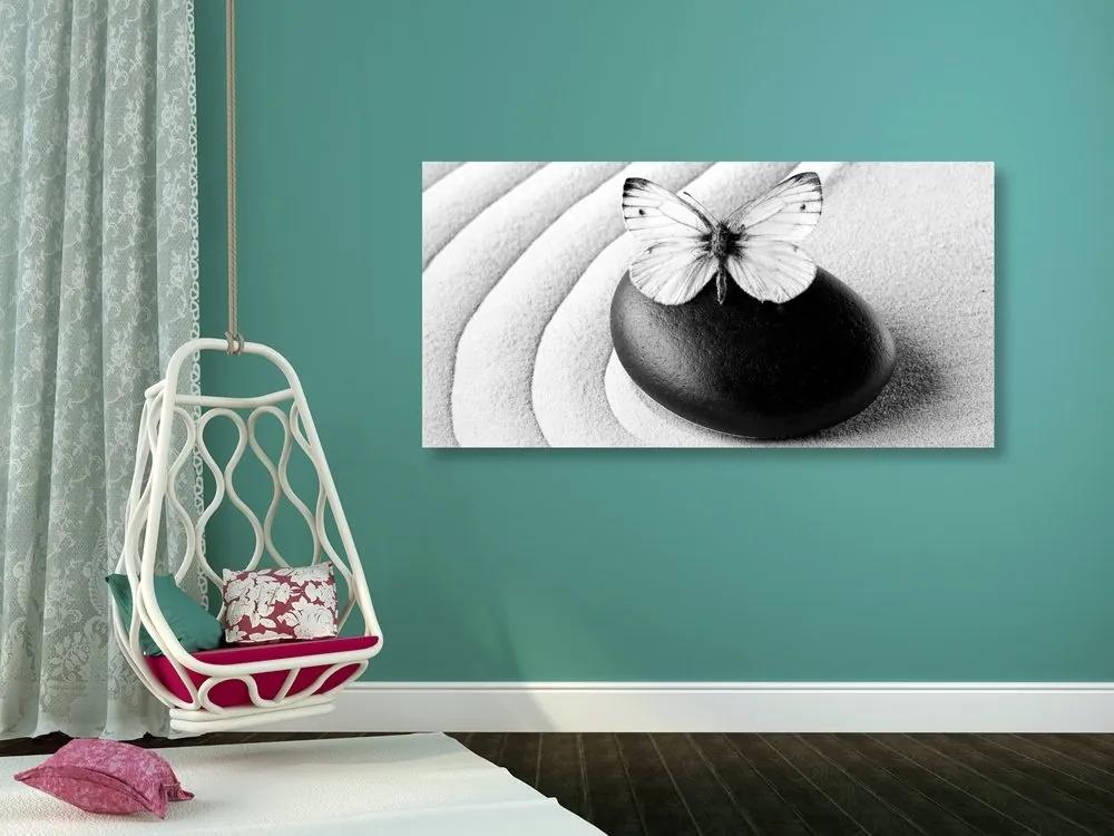 Obraz Zen kameň s motýľom v čiernobielom prevedení - 100x50