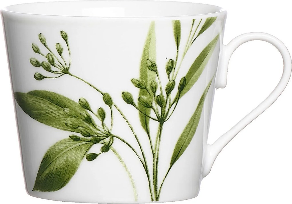 XXXLutz ŠÁLKA NA KÁVU porcelán keramika Ritzenhoff Breker - Jedálenské sety - 003417107404