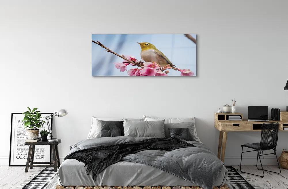 Obraz na akrylátovom skle Vták na vetve 120x60 cm
