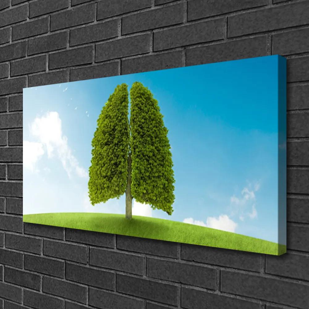 Obraz Canvas Tráva strom pľúca príroda 120x60 cm
