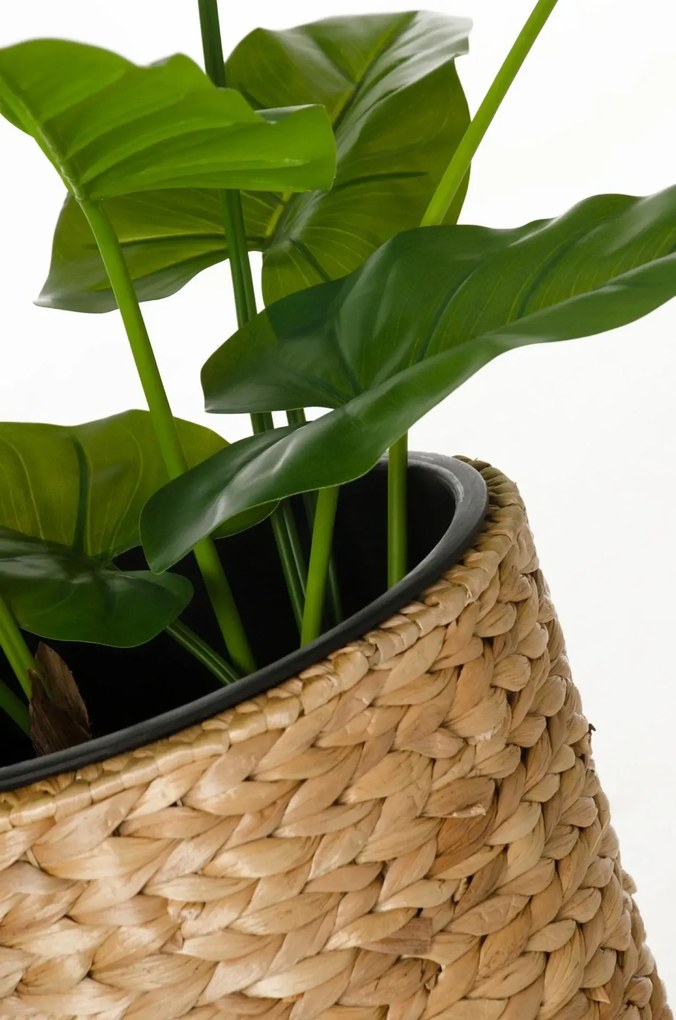 Kvetináč CLASSIC ROUND, vodný hyacint, výška 60 cm, natur