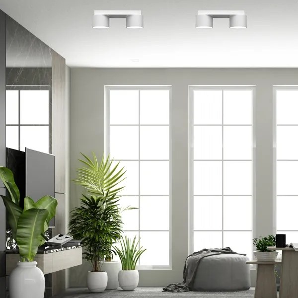 Stropné svietidlo DIXIE 2xGX53/11W/230V biela